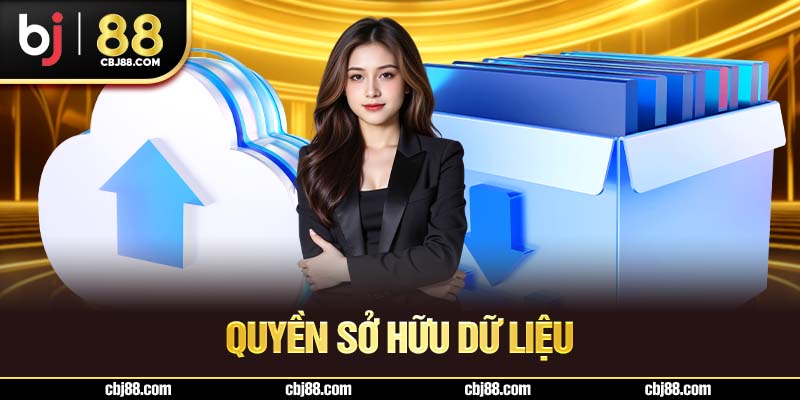 Quyền sở hữu dữ liệu