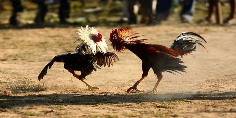 Nạp rút vô cùng nhanh gọn và an ninh tuyệt đối